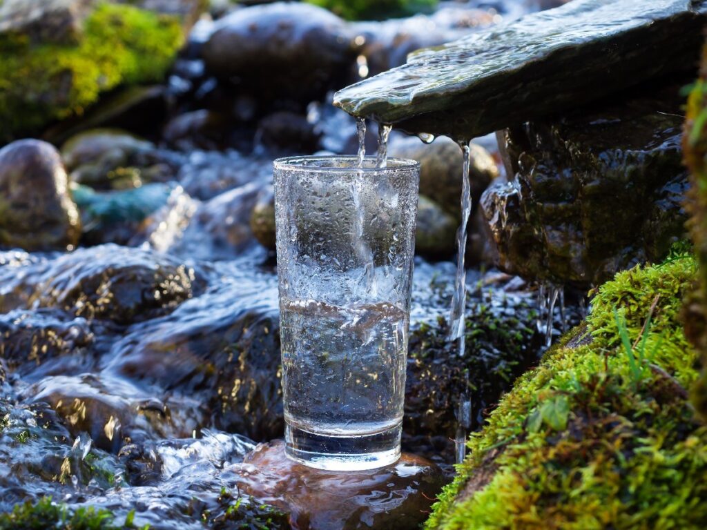 Spring Water vs Distilled Water